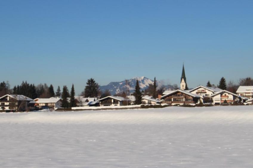 Alpkönigin - foto 28