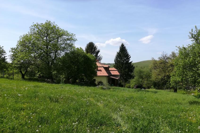 mit biologischem Schwimmteich - foto 2