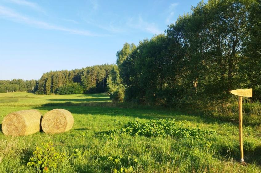 Vogelecke - abseits des Trubels und der Hektik - foto 25