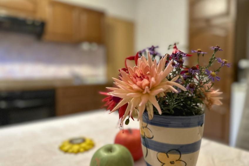 Am Sonnenblick - foto 16