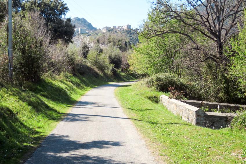 Villa Angelini - foto 36