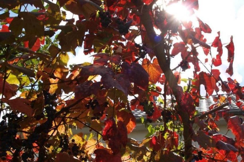 Le Château d'Eau - foto 25