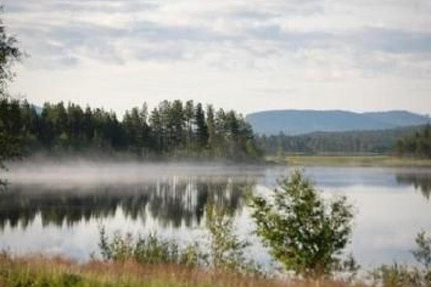 in Sorsele mit Garten und Grill - foto 5