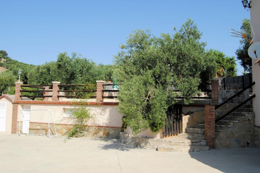 Casa Los Olivos - foto 8