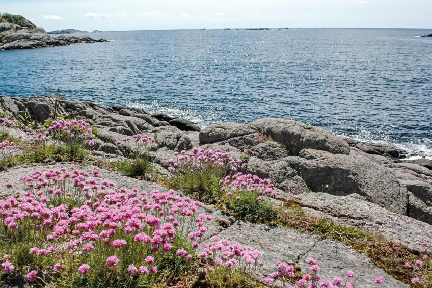 Nedregård (SOW002) - foto 45