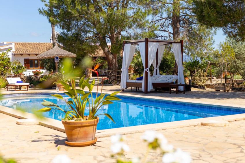 Mulet Llubi - foto 37