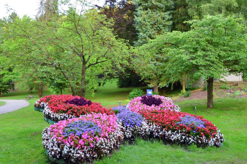 Am Ferienbauernhof - FW 2 und FW 3 - foto 34