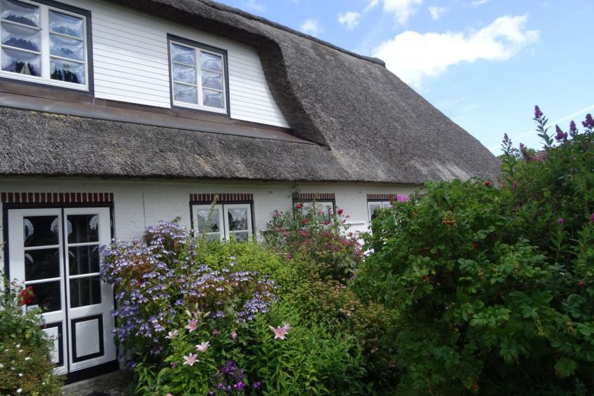 Geltinger Bucht - foto 18