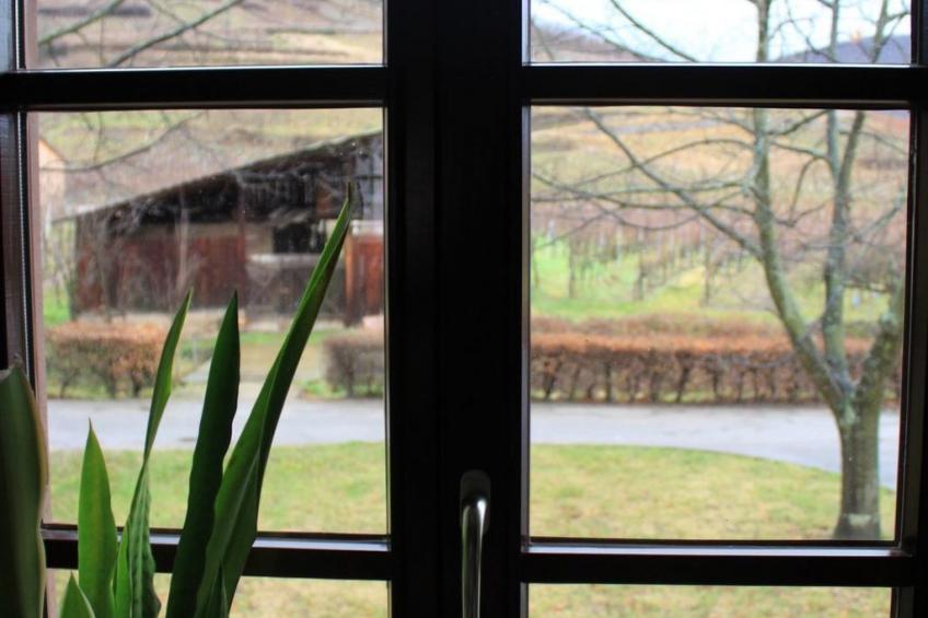 1ed-Face Vosges,au Sud,coeur Vignoble,Calme,WiFi - foto 10