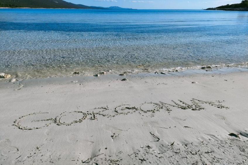 Gorgonia S2 - foto 22