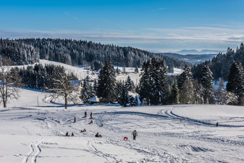 Ferienwohnung Herrischried an der Skipiste - foto 31