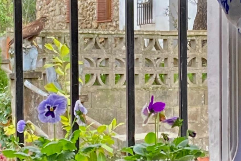 Freistehendes Ferienhaus Maria La Franca - foto 15