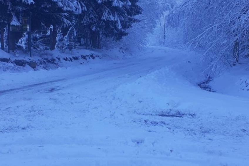 Vila Roberta Breaza Brasov - foto 25