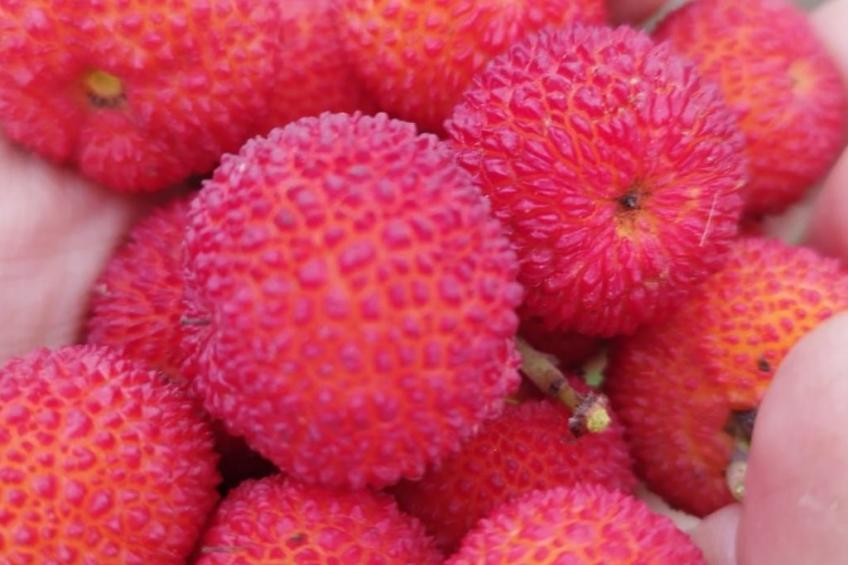 Entspannung, Meer, Natur, Kultur - foto 29