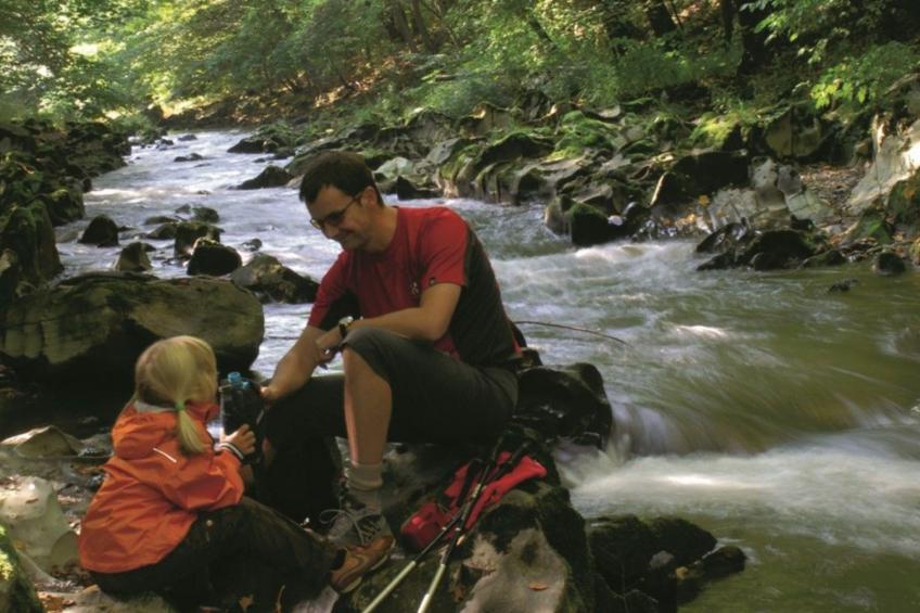 FeWo Panorama - foto 41