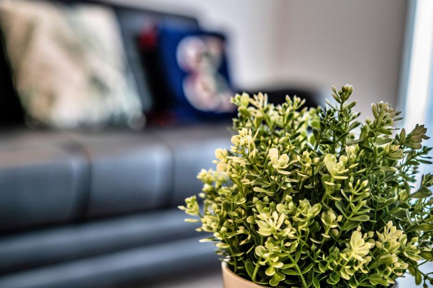 Aldridge Square - foto 4