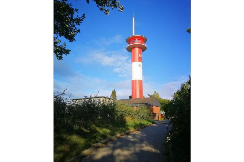 381646 - foto 16