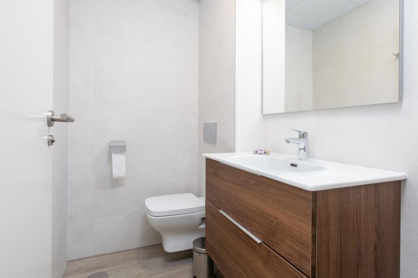 Royal Palm - foto 13