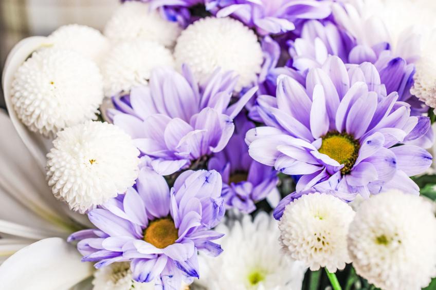 Wester Bunloit - foto 6