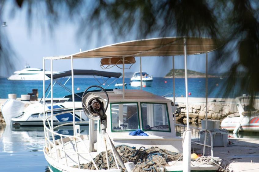 Strandhaus Lady - Ferienanlage Bain, Žut - Kornati - foto 5