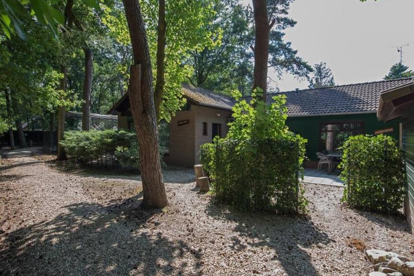 De Rode Ibis - foto 12