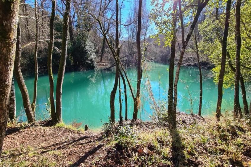 Appartement - MONTAUROUX - foto 40