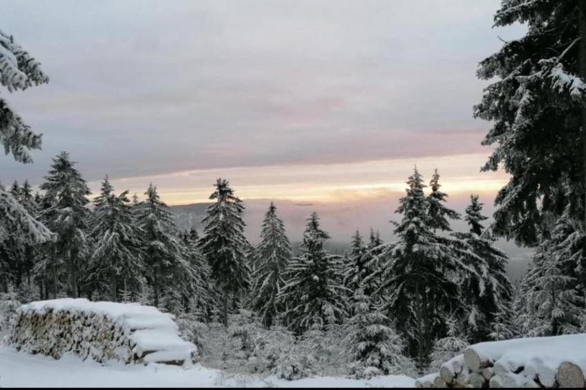 Ferienhaus Anna - foto 34