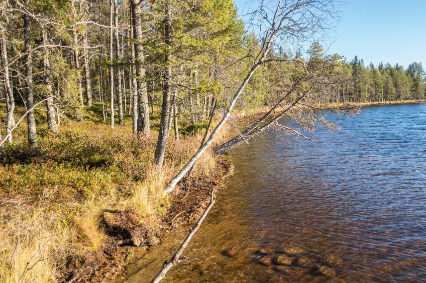 Putilanranta - foto 6