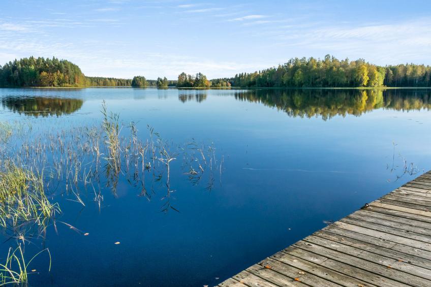 Niemenkärki, vaikon loma ja lohi - foto 29