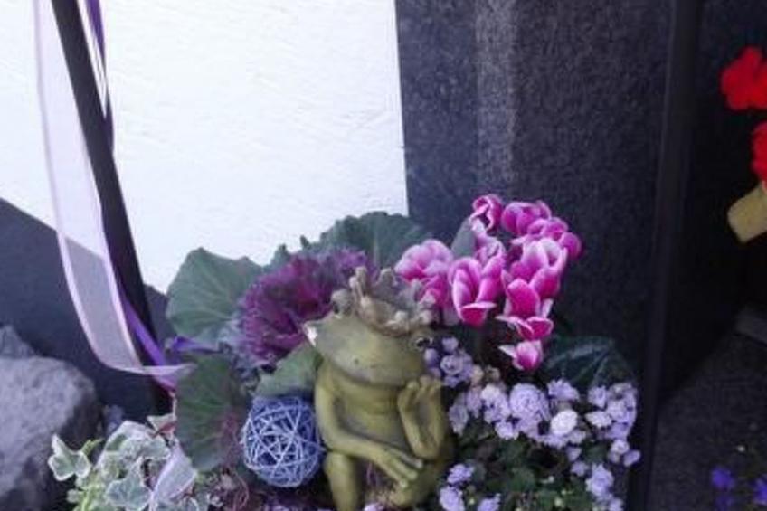 Am Waldrand - foto 12