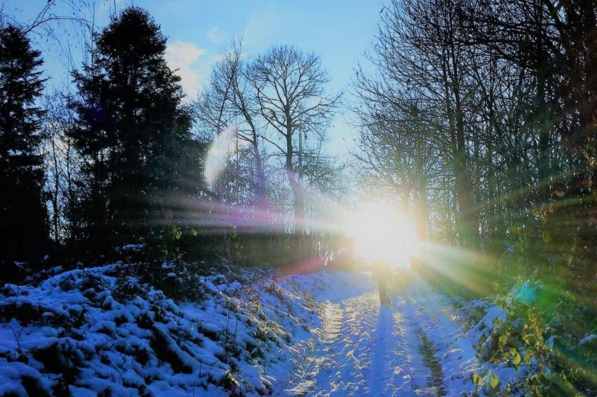 Traumwohnung - foto 46