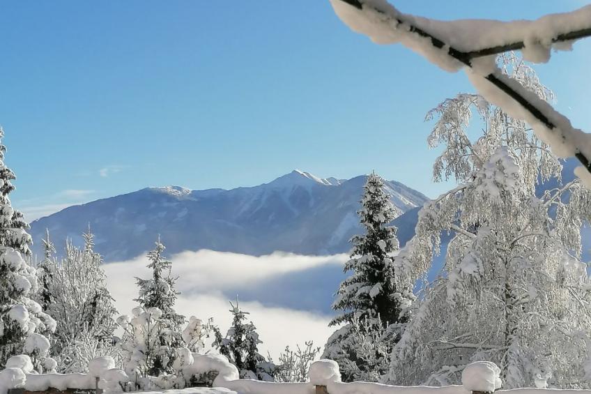 Waldpension Ranner - foto 28