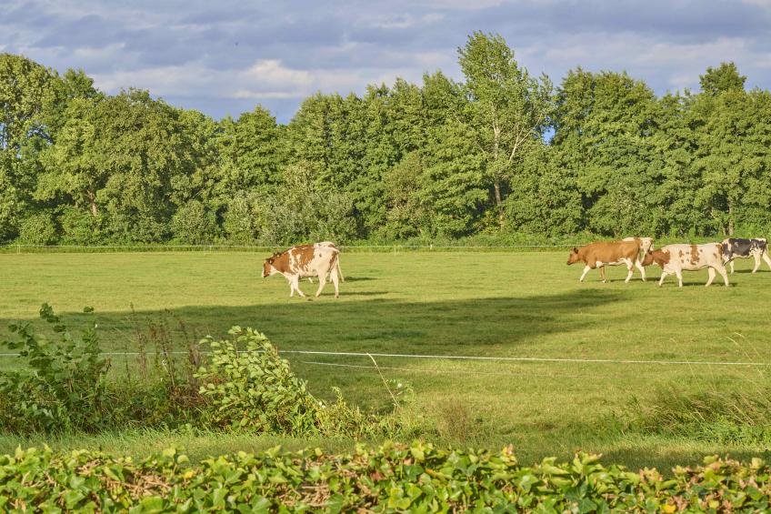 t Achterhoes - foto 35