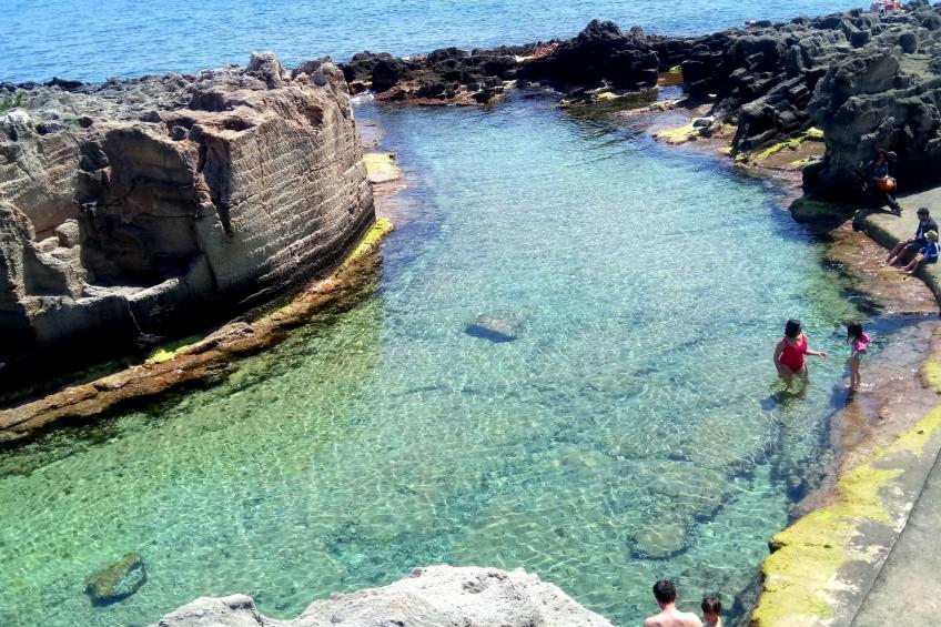 Girasoli in Tricase Porto - foto 40