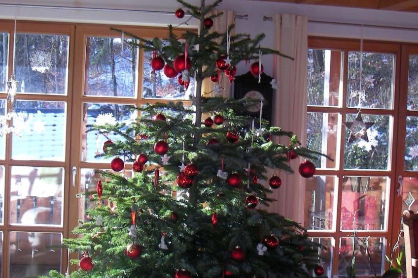 Haus "Hermann" - foto 43