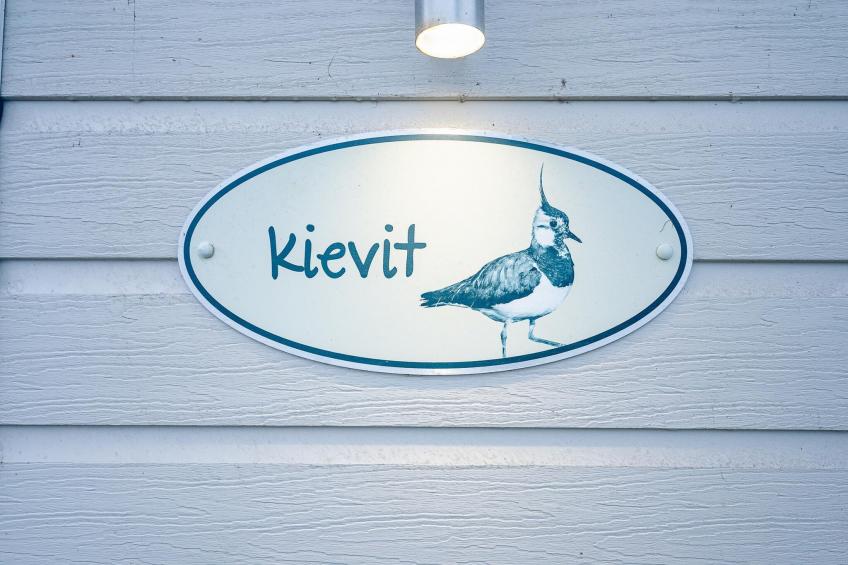 Duinhoeve Chalet Vogel - Huisdier niet toegestaan - foto 31