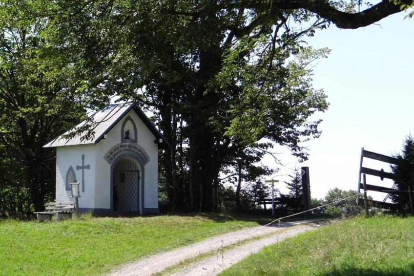 FEWO Gartenblick - foto 28