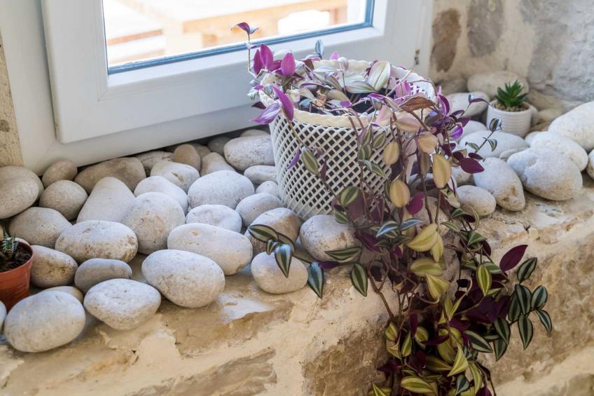 Beachfront Villa Olive Mill with pool - foto 44