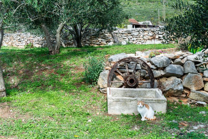 Country House Irena with pool - foto 52