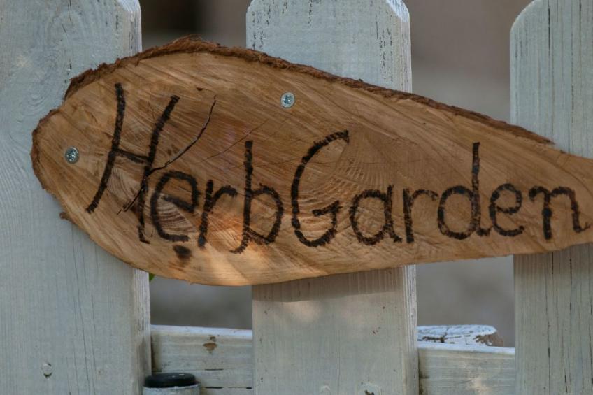 Der Garten von Zephyrus - West - foto 24