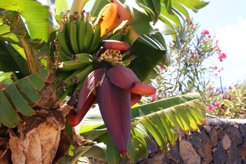 Romantische Ferienvilla mit Infinity-Pool und Panoramameerblick - foto 40