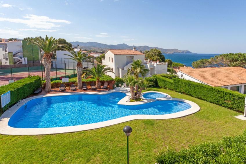 Palmiers 01 - foto 5