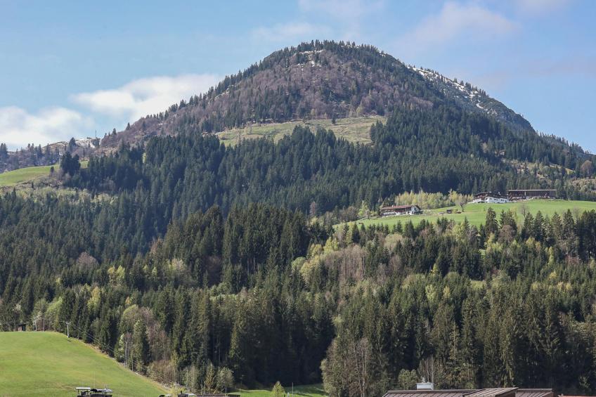 Villa Filzer - foto 49
