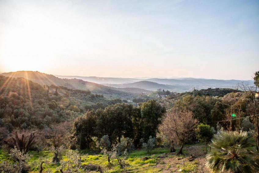 Casa Sugheri - foto 27