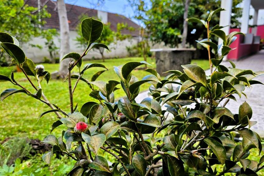 Haus Seixal - foto 26