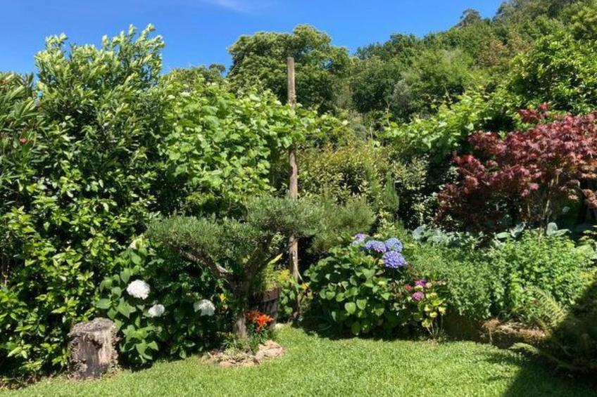 Casa da Lage - foto 18