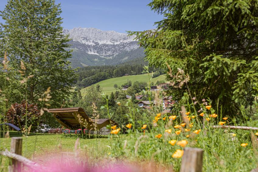 Studio Esche 3 - foto 40