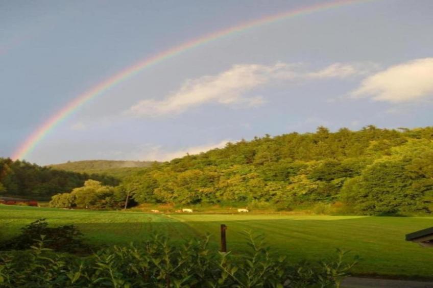 Ferienwohnung Frankenberg - foto 33