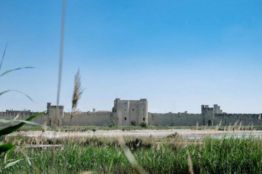 Résidence La Perle Rose Villa Standing 5 étoiles Avec Piscine Jacuzzi Et Superbe Vue - foto 8