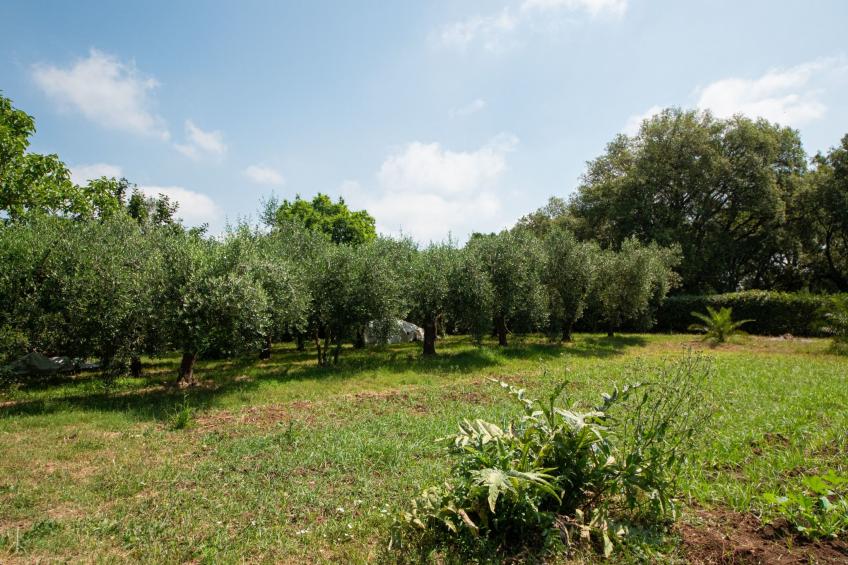 Oleandri Ferienhaus mit privatem Pool - foto 42